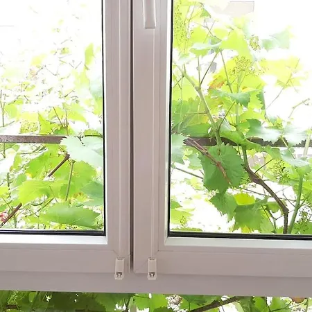 Familienfreundliche Apartments Am Park Вюрцбург Экстерьер фото